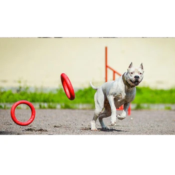 Jucării Câine De Companie De Discuri Care Zboară Joc Interactiv Joc Jucărie Plutitoare În Aer Liber Inelul De Pregatire Pentru Cățeluș Câine Animal De Casă Produse
