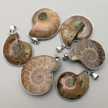 Moda naturale Amonit piatra Melc Pandantive & coliere farmece 6pcs pentru a face Bijuterii Reliquiae Fosile Colier accesorii