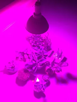 500 800 Led-uri Cresc de Lumină Becuri Creșterea Plantelor E27 Becuri pentru Hidroponice cort de Legume cu efect de Seră de Flori de interior, cutie de floare