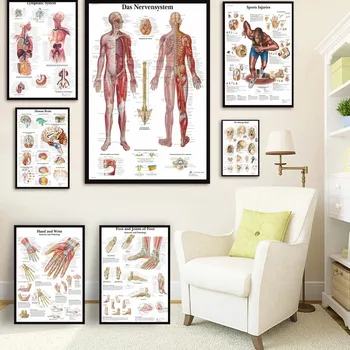Panza Pictura Anatomia Omului Mușchii Sistemului de Artă Poster de Imprimare Corpul suportului de Hartă de Perete Imagini pentru Știință Medicina Decor Dormitor